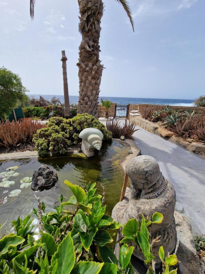 Little Paradise In El Medano Granadilla De Abona Exterior foto