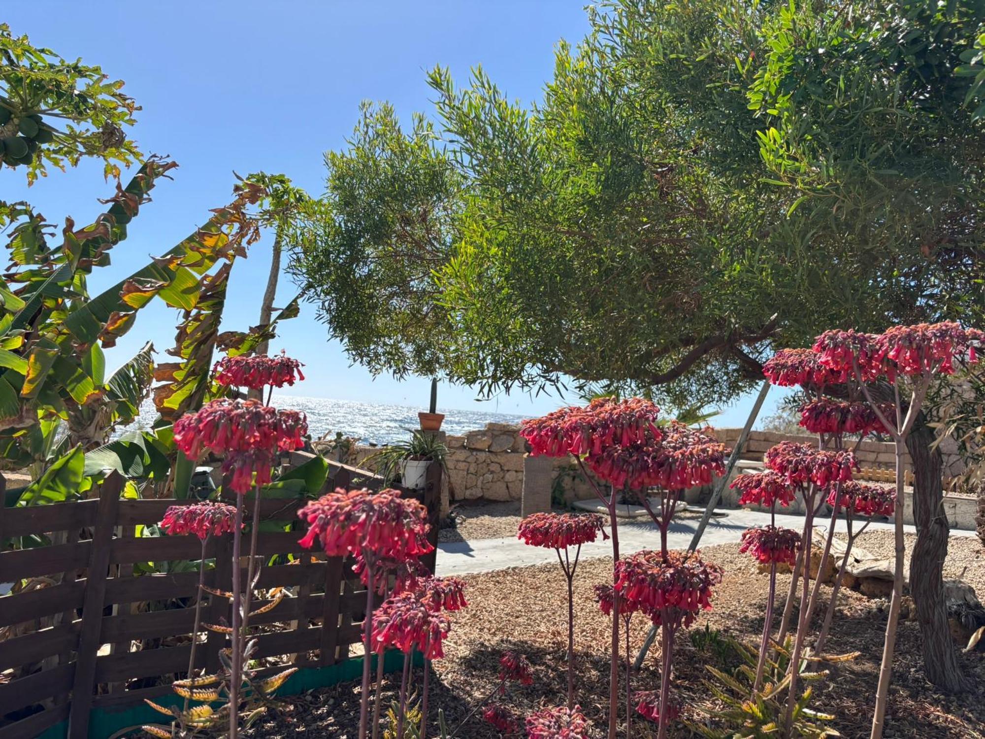 Little Paradise In El Medano Granadilla De Abona Exterior foto